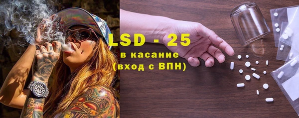 сатива Армянск